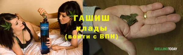 прущие грибы Алексин