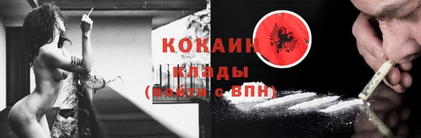 прущие грибы Алексин