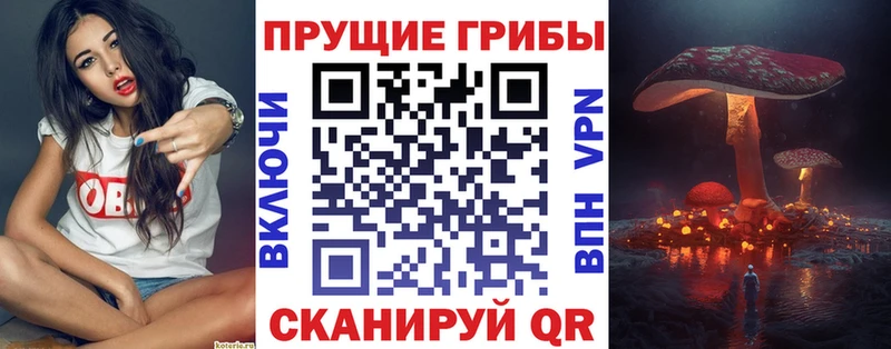 Галлюциногенные грибы Magic Shrooms  Среднеколымск 